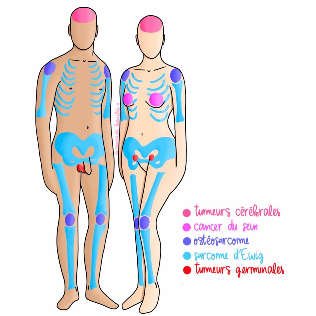 illustrations-sante-livret-reseau-aja-oncologie-bfc-anatomie