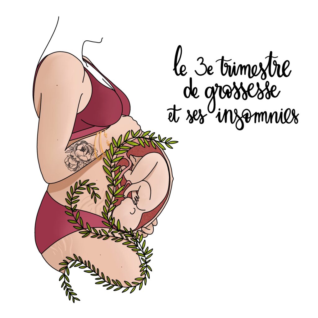 Illustration d'un ventre de femme enceinte au 3e trimestre avec bébé visible en transparence, feuillages verts, texte le 3e trimestre de grossesse et ses insomnies, pour Naturo Ostéo, par La Renarde Bouclée