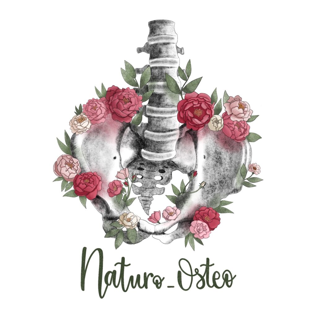 Logo Naturo Ostéo illustré représentant un bassin anatomique entouré de pivoines roses et rouges et de feuillages verts, avec la typographie manuscrite Naturo Ostéo en vert, par La Renarde Bouclée